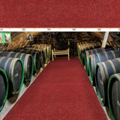 Schmutzfangteppich Rot Sauberlaufmatte Schmutzfangmatte Flur Teppich Teppichläufer Läufer Flur POET Breite 100cm