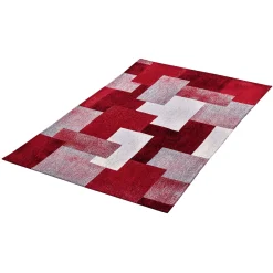 Teppich Wohnzimmerteppich Flur Teppich Läufer Küchenteppich Carpet Kurzflor Waschbar Martina